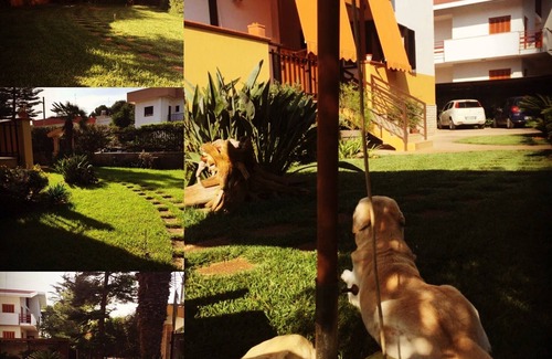 Palese Appartement | La tulipe rouge ouverte
