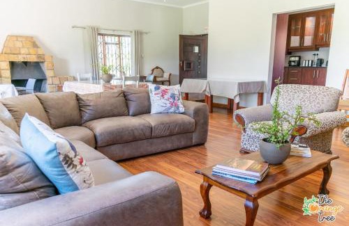 Alkmaar Maison | The Orange Tree Guest House