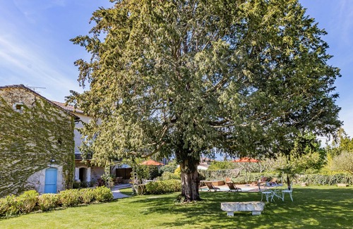 Cassagne Maison | The Ostal Cassinia cottage
