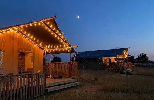 Forest of Dean Autre | The Paddock