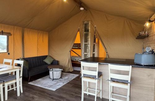 Forest of Dean Autre | The Paddock