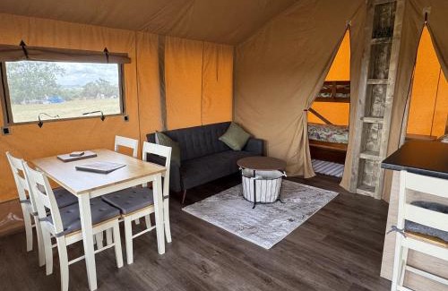 Forest of Dean Autre | The Paddock