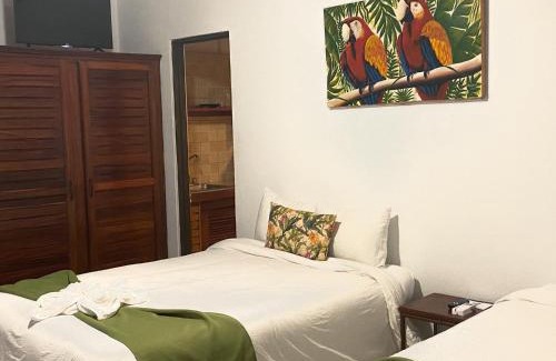 Coco Hôtel | The Palms At Coco Beach