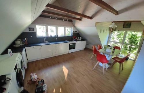 Tappernoje Appartement | The parrot hotel, live in a rescue animal park