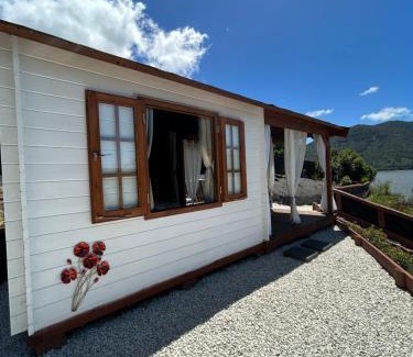 Havelock Maison | The Petite Suite
