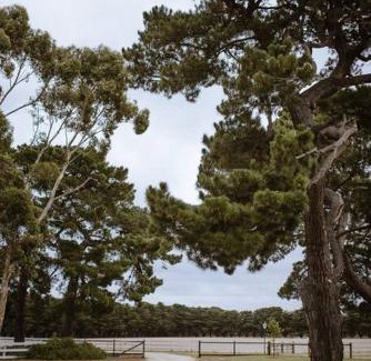 Connewarre Maison | The Pines Barwon Heads