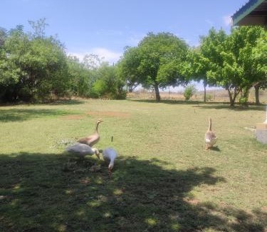 Magaliesberg Appartement | The Pink Chair