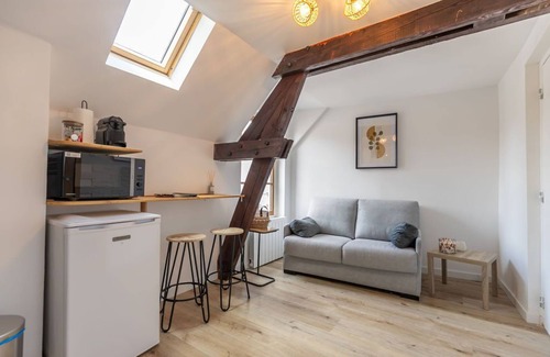 Romorantin-Lanthenay Appartement | L’Appart des Platanes 2 : Châteaux et Beauval