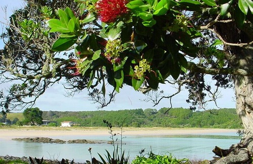 Te Tii Maison | The Pohutakawa Beach House at Tapuaetahi, Kerikeri.