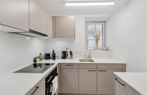 Andelfingen District Appartement | The R Apartment Cholfirst