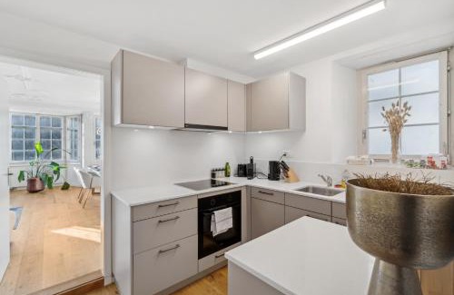 Andelfingen District Appartement | The R Apartment Cholfirst