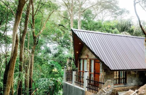 Pitabeddara Hôtel | The Rain Forest
