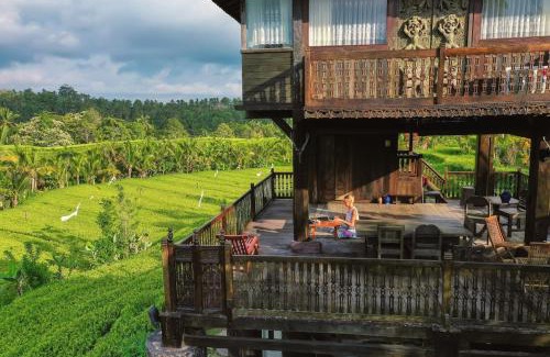 Blimbing Maison | The Ravaya Arim Villa -Peaceful, Romantic, Natural