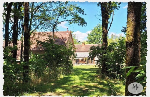 Villefranche-sur-Cher Maison | The red edge of the forest