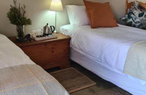 Napier Maison | The Restio Country Guesthouse