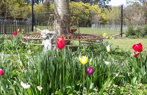 Ashbourne Cottage | La retraite à Amryhouse