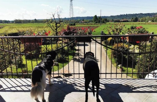 Favria Maison | Le jardin du rouge-gorge détendez-vous à la campagne avec animal de compagnie