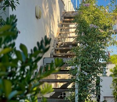 Kfar Blum Appartement | The Roof