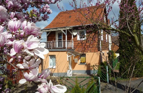 Wahlhausen Maison | La maison Ruby - votre maison de vacances pour vos vacances dans la magnifique vallée de la Werra