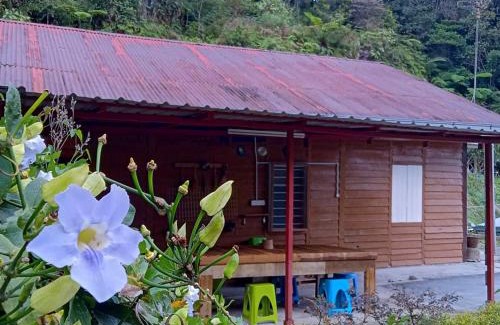 Tanah Rata Maison | The Rustique Guest House