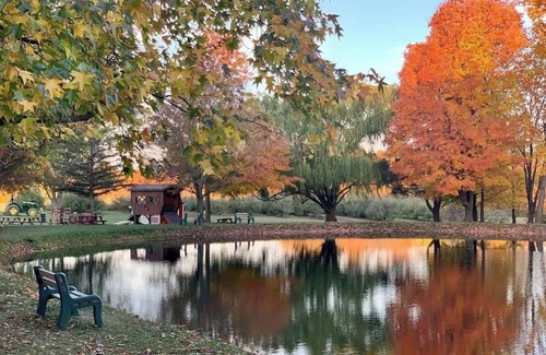 Ashtabula Maison | The Sansa Suite at Brants Apple Orchard