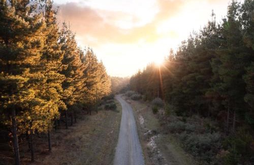 Creswick Appartement | The Sebel Creswick Forest Resort