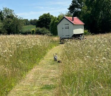 Hindringham Autre | The Shepherds Hut