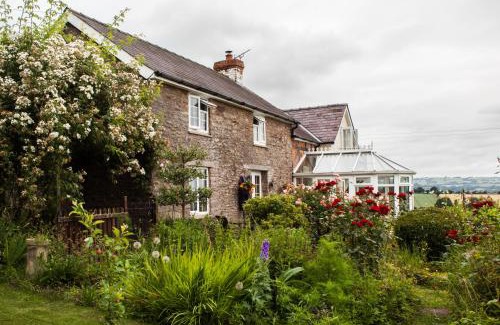 Pen-y-Park Lit Et Petit-Déjeuner | The Smithy