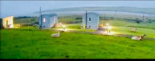 Ballyshannon Appartement | The Snuggly Sheep Shepherd Hut Campview Farm Stay