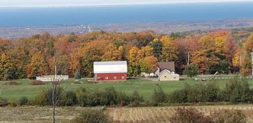 Fredonia Maison | The Stable at Windmill Ridge Farm