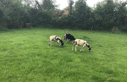 Wedmore Appartement | The Stable Poplar Farm