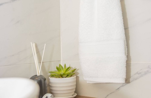 Pavas Hôtel | The Stay