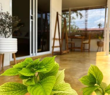 Ko Chang Maison | The Summer Cottage