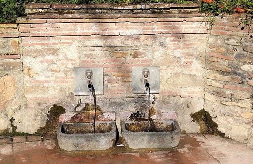 Capannori Appartement | The Sunflower - 5 Km from the walls of Lucca
