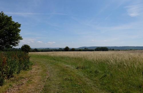 Thame Cabine | The Thatched Barn