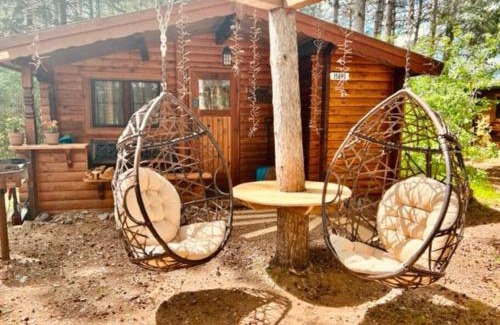 Hayward Maison | The Timberjack