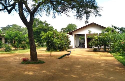 Moragaswewa Maison | The Treasure - Habarana