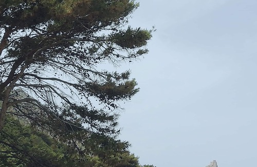 Marettimo Maison | La cabane dans les arbres - Entre montagne et mer