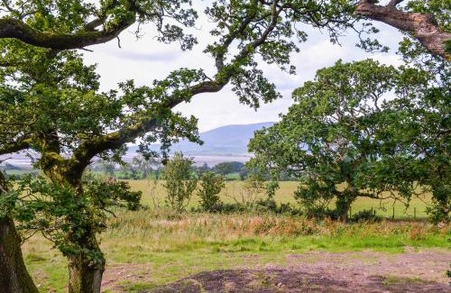 Bankend Maison | The Treehouse Caerlaverock - Uk45028