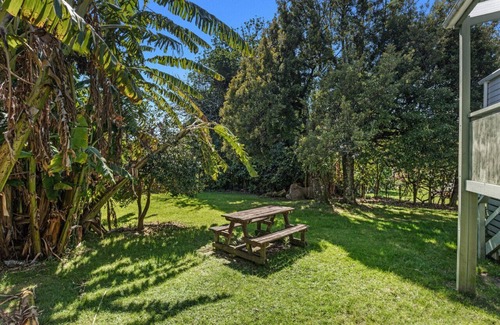 Waihau Bay Maison | The Treehouse- Whanarua Bay