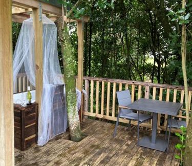 Ohauiti Maison | The Treehut