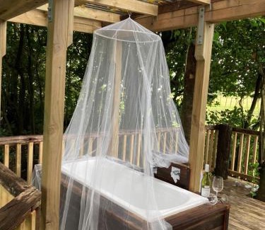 Ohauiti Maison | The Treehut