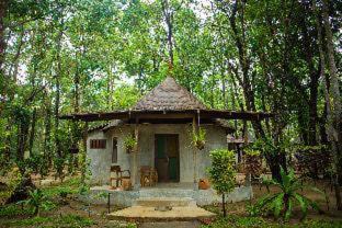 Khong Koi Beach Cabine | The Tropical Beach Resort