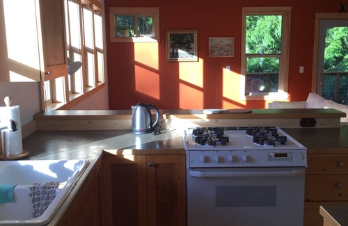 Whatcom County Appartement | The Van Zandt Raven in the Mt Baker foothills