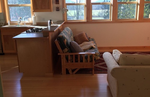 Whatcom County Appartement | The Van Zandt Raven in the Mt Baker foothills