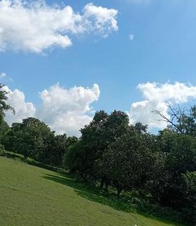 Madhubani Maison | The Vedic Grove