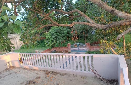Madhubani Maison | The Vedic Grove