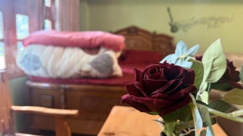 Kalpa Maison | The velox Traditional Home Stay Kalpa