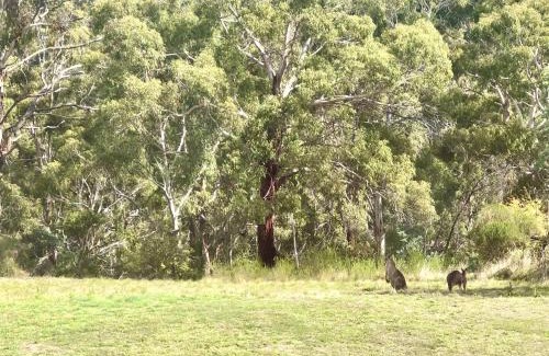 Daylesford Maison | The Views Cottage
