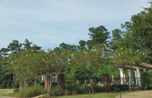 Springfield Villa | The Villas at Carter Plantation